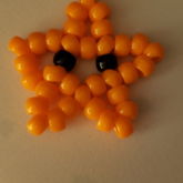 Kandi Starfish