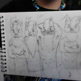 All My Fursona's
