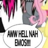 MLP Core