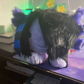 I Gave My Scene Axolotl Hair