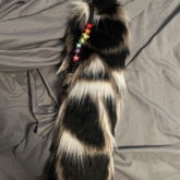 Made A Charm For My Tail :3