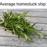 Average Homestuck Ship:
