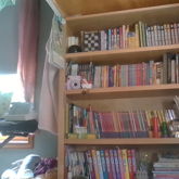 I Finally Cleaned My Bookshelf :3