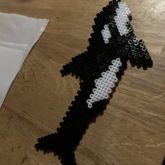 Killer Whale