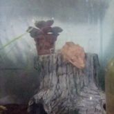 I Got A Succulent