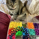 Miss P**s Helping Out
