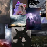 Cats And Stormy Weather Aesthetic/Background