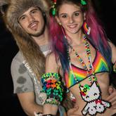 Rainbow Raver And Red Fox In Their Natural Habitat