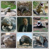 Bill Tench Moodboard