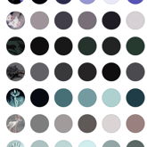 Starflesh Color Board 