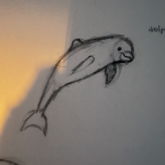 Dolphin I Drew During Art Clazz