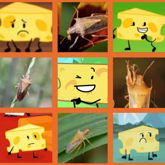 Cheesy Rice Stink Bug Board