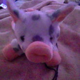 My Essa!