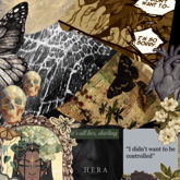 Oc Collage On Shuffles (Hera)