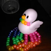 Swan Swimming On Rainbows