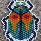 Rainbow Beetle
