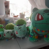 All Of My Bulbasaurs And Their Kandi!!!