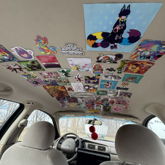 My New Car's Roof