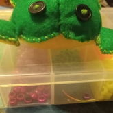 Frog Plushy I Made