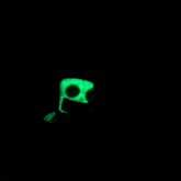Glow In The Dark Invader Zim Gir Earrings