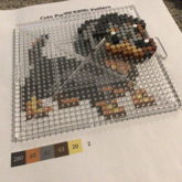 Making A Perler Version Of My Dog :D