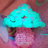 Glow Mushroom Stash