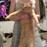 Kitty ^^