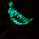 Glowing Party Monster Fangs