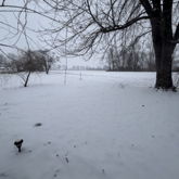 Snow Day :D