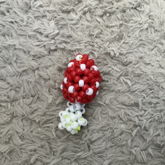 Muschroom Kandi