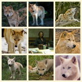 Wendy Carr Moodboard