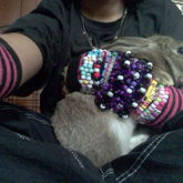 Bunny!!!