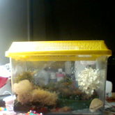 MY SLUGGGGGSSSSSSSSS