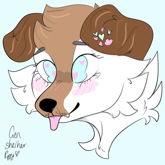 Fursona 6