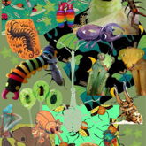 Bug Wallpaper I Made :>