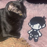 Omori And My Cat :-)