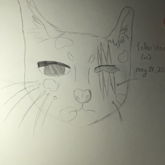 My Warrior Cats OC! (Dont Mind How Ugly It Is)